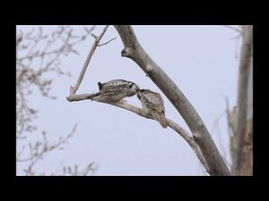 Ты сними, сними меня фотограф..