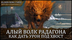 🦀 Гайд: Алый волк Радагона. Как дать урон под хвост? 🡆 Elden Ring