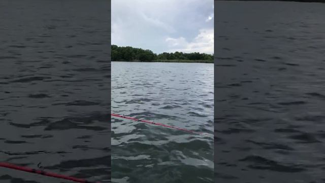 Рыбалка на Камчатке. 3 Августа 2018 года (кета). смотреть онлайн