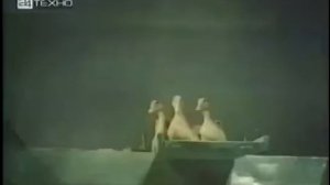 Научение. Условные рефлексы. Животные.