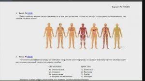 Решаем реальный вариант ОГЭ. Разбор варианта на 5!