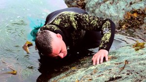 Ловим Краба Руками