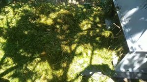 Траворезка, измельчитель травы, ботвы, соломы, сена.