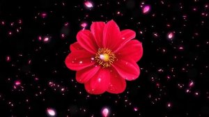 НОЧНАЯ медитация для женщин: активация внутренней богини, уверенность в себе и развить женственност