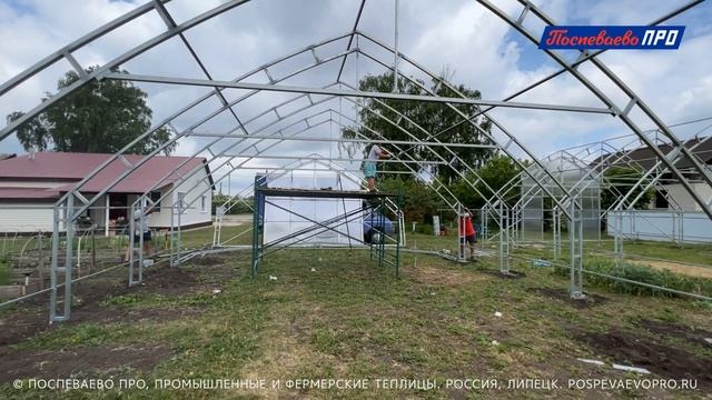 Видео сборки каркаса пленочной теплицы Поспеваево ПРО Супермодуль 8х18 метров. смотреть онлайн