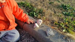 играет в камушки 1 год