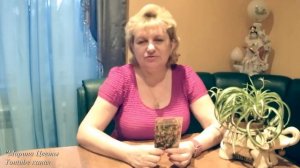 МИНА-КВАМОКЛИТ. Лиана для вашего сада. (Испанский флаг)