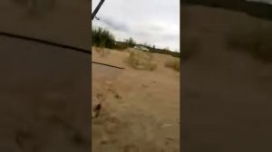 поймал сазана на Казанке. Рыбалка в Казани. Streetfishing