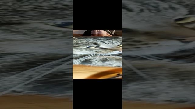 позёр смотреть онлайн