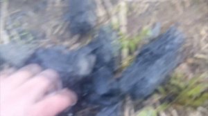 Получение оксида кальция