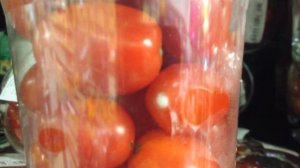 Плесень на помидорах черри 1