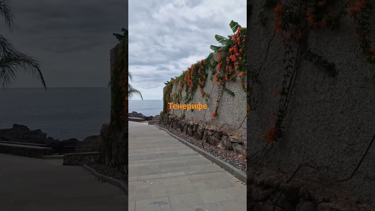#shorts Тенерифе смотреть онлайн