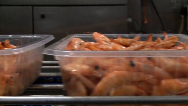 Трейсилер SEALPAC A10 для креветок в групповой упаковке смотреть онлайн