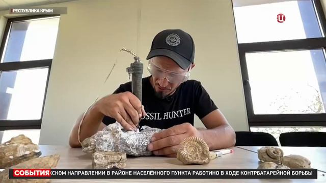 Крымские ученые открыли ранее неизвестный науке вид древних моллюсков смотреть онлайн