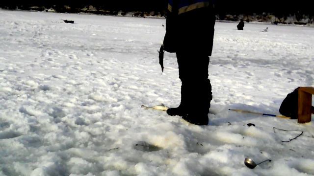 Рыбачу в Де-кастри ноябрь смотреть онлайн