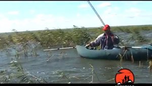 Ловля карпа на озере