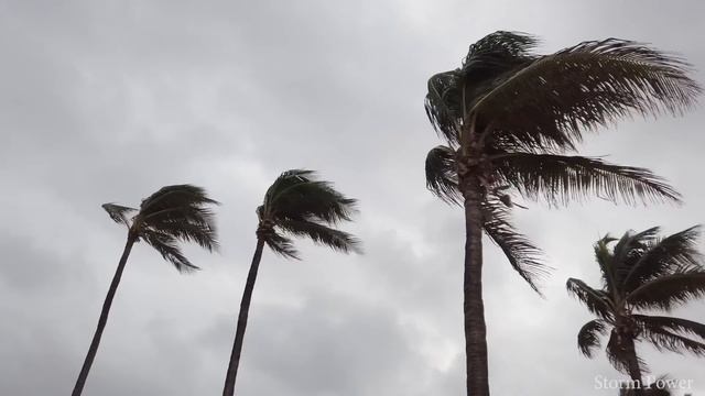 ? 천둥번개, 폭우, 천둥소리, 울부짖는 바람으로 불면증을 극복하고 즉시 잠에 들 수 있습니다. смотреть онлайн