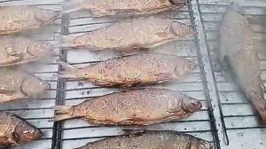 Копчение сырков