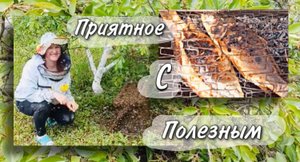 Приятное с полезным!!!