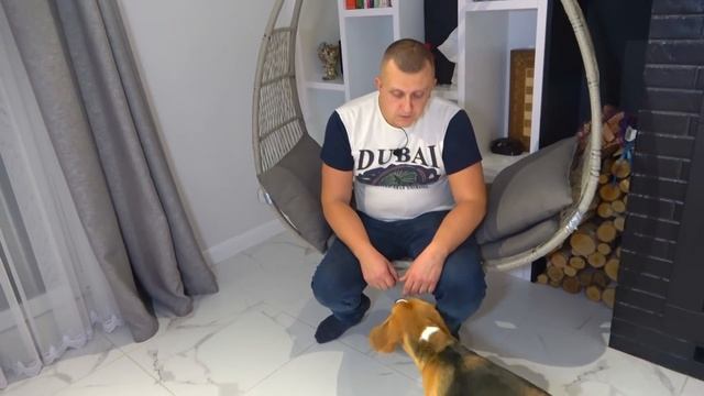 СОФИЯ И ШЕРЛОК . Софунья Шалунья