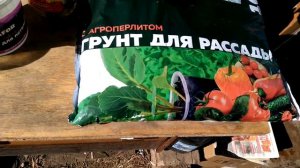 Виноград  в Оранжерее. Посадка черенков в землю!.