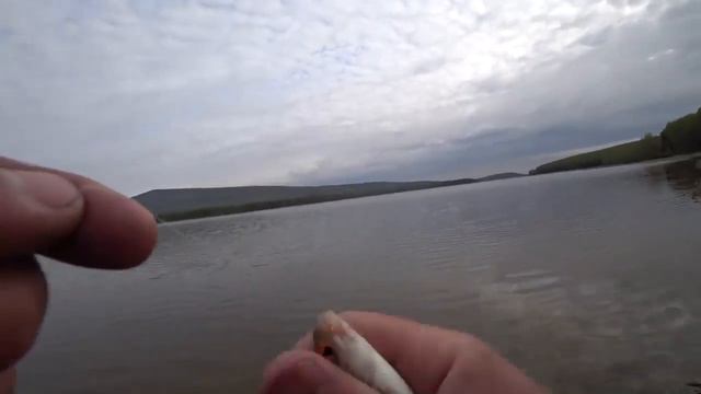 Лучшие фидерные поклёвки смотреть онлайн