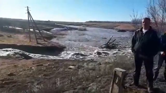 Воронежская обл. п.г.т. Анна с. Новая жизнь