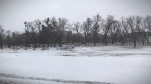 Парк Восток 17.03.2024