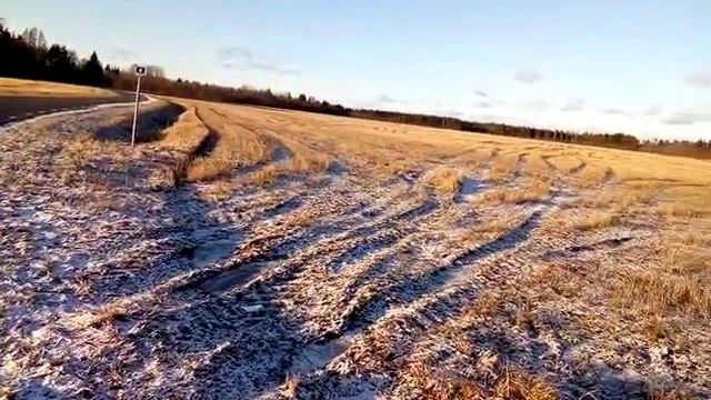 Деревенский словарь. Стерня и озимые посадки. смотреть онлайн