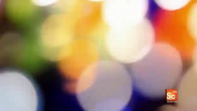 Through the Wormhole - What are We Made Of?
