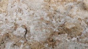 Самая безветренная бухта Sharm El Sheikh Шарм эль Майя