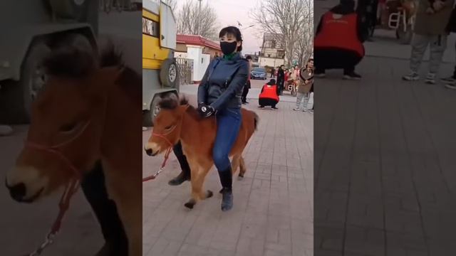 Beauty riding a pony Красивая китаянка на пони