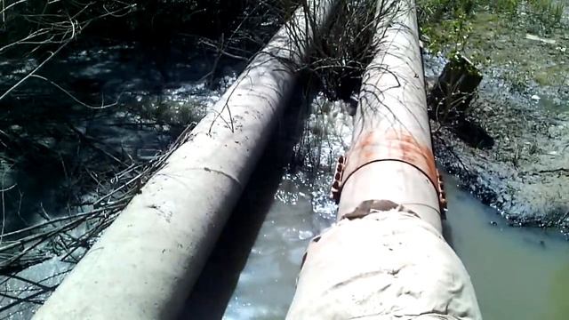 Экологическая авария. Волгоград, Спартановка, Мокрая Мечётка 20.05.2015г.