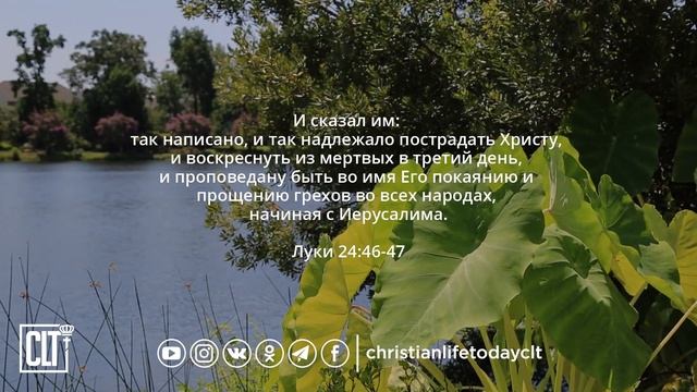Библейские cтихи о силе прощения