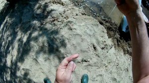 Ловля первой каспийской селедки и судака на резинку.Рыбалка в астрахани.