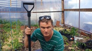 Компост из листьев в теплице. От идеи к результату.