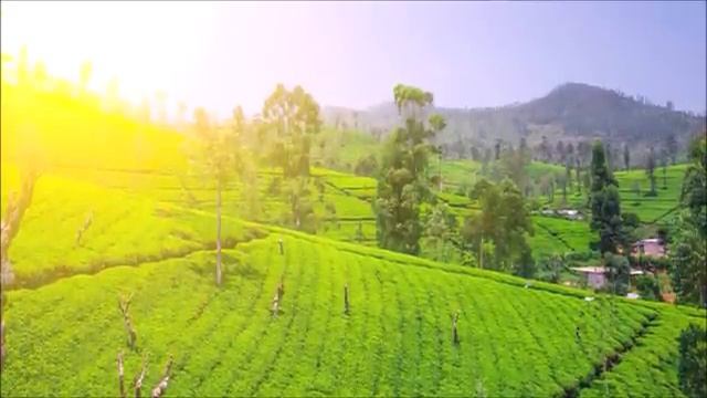 ЗАЛИВАЕМ ВСЁ СОЛНЕЧНЫМ СВЕТОМ --ОЗДОРАВЛИВАЕМ СЕБЯ И КАЖДУЮ КЛЕТОЧКУ ПРОСТРАНСТВА И МАТУШКИ ЗЕМЛИ!! смотреть онлайн