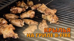 Куриные крылья на российском газовом гриле B-fire