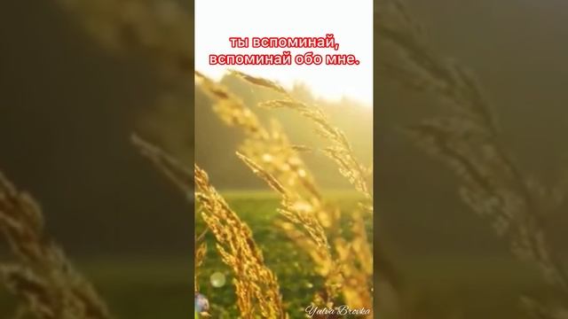 Никто не уходит и не исчезает. Юлва Бровка. #душа #вселенная #звезды #стихи смотреть онлайн