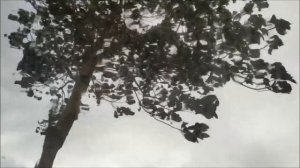 Осень и Женщина...