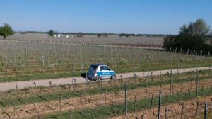 Лучший автомобиль Smart