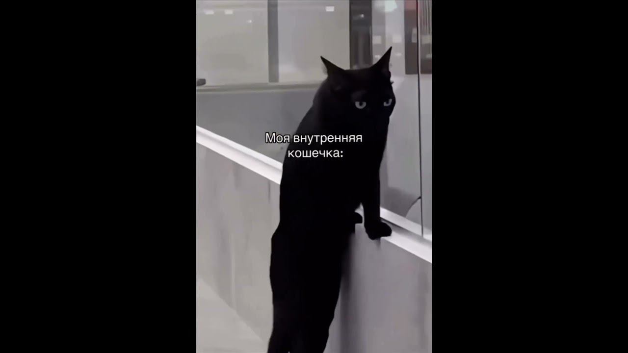 А какая ТЫ дома?Артикул на WB: 172409529