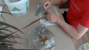 Рыбалка на Ладожском озере | прокат лодок в Кошкино