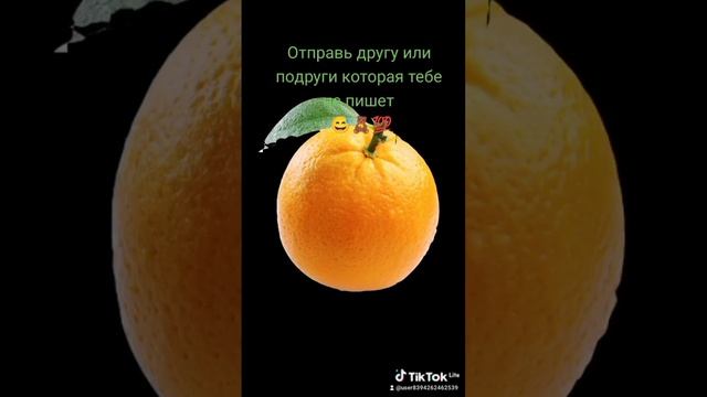 5 сентября 2023 г. смотреть онлайн