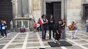 Flamenco en la calle (Granada 22.04.2016) #3