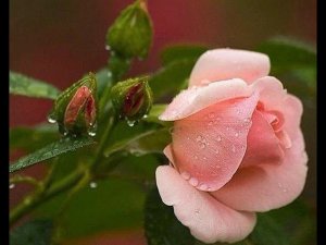 Та женщина..