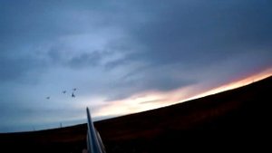 охота на гуся, Амдерма, крайний север