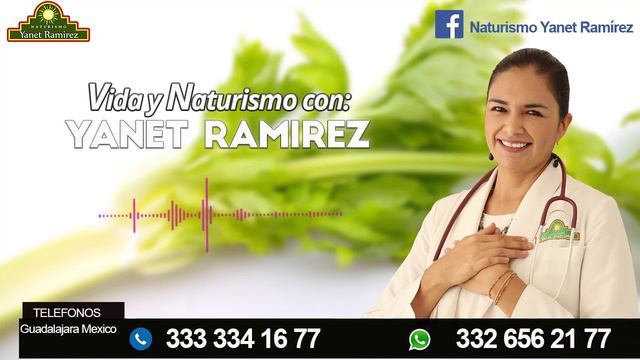 5 Plantas Medicinales para los Nervios y la Ansiedad que Debes Conocer