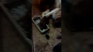 Гольф4 1:6бенз.заклинил распредвал!