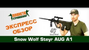 Обзор автомата Snow Wolf Автомат Steyr AUG A1 (sw-020a)